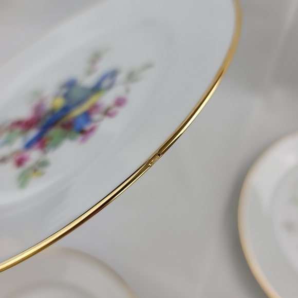 (4) Vtg JKW Western Germany Fine Porcelain Bird Plates - Picture 14 of 16